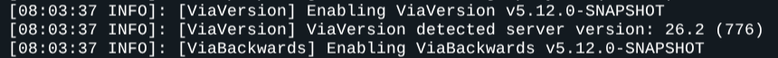 Log console menampilkan ViaVersion enabling dan versi server yang terdeteksi