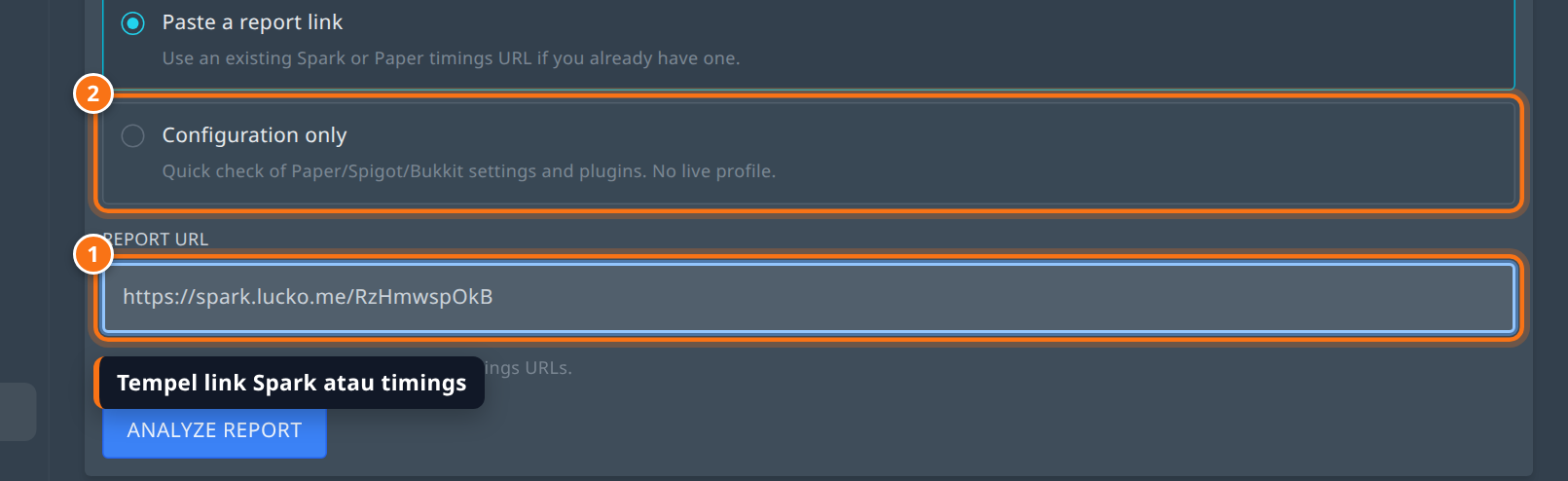 Pilihan Paste a report link dan Configuration only di tab Performance